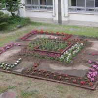 加茂農林高校　花壇の花植え