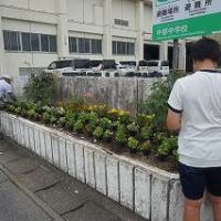 6.27正門付近花植え（支援学級）