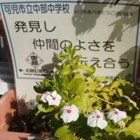 12.1人権週間②「人権標語」