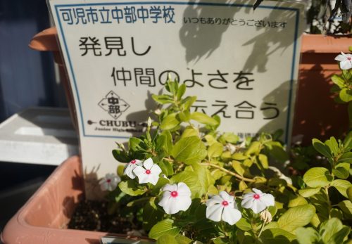 12.1人権週間②「人権標語」