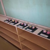 12.22感じ方を磨く美術の授業