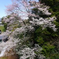 3.18３年生卒業後の授業