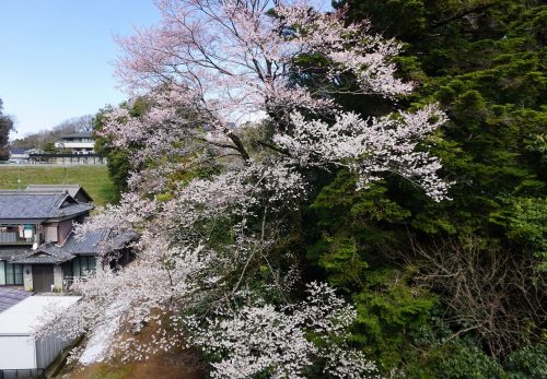 3.18３年生卒業後の授業