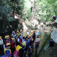 山座川へ水質調査に行ってきました