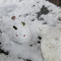 わーい、雪がいっぱい！！