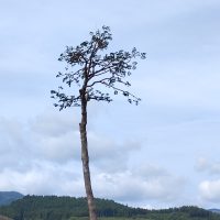 防災の日