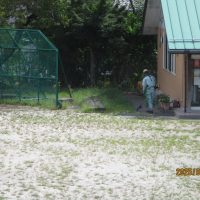 除草作業のお願い