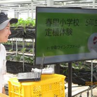 いちごの定植体験（５年生）