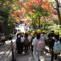 修学旅行に行ってきました！②