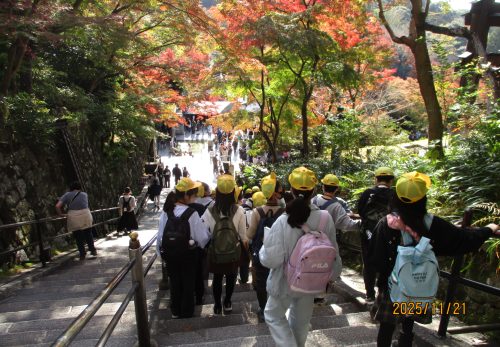 修学旅行に行ってきました！②