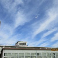 凧あげ（１年生）