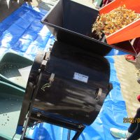 大豆の選別作業（３年生）