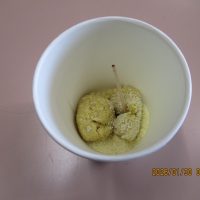 きなこあめ作り（３年生）