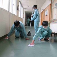 美しくなりました。