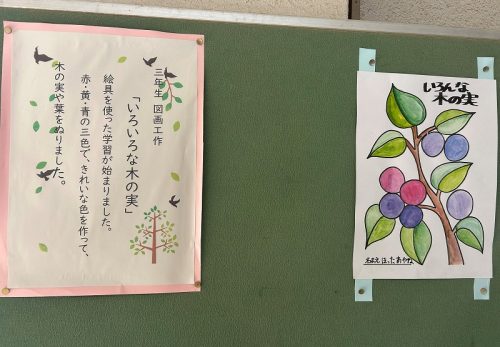 いろんな木の実