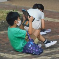 へちま
