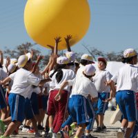 保護中: 【PTA広報】令和７年度　運動会