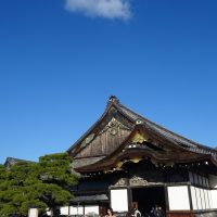 学んだことを活かして みんな全力で楽しめる修学旅行