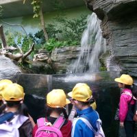 「アクア・トトぎふ」へ行ってきました