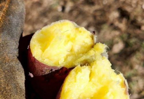 PTA落ち葉拾い＆焼き芋フェス