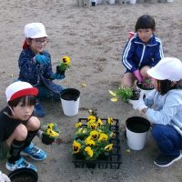 心をこめて　鉢植えづくり