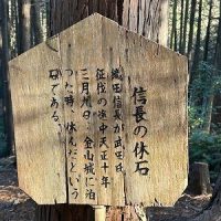 念願の・・・信長の休石