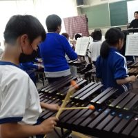 少しずつ🥁
