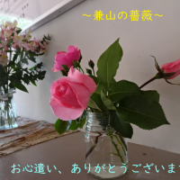 スタート！