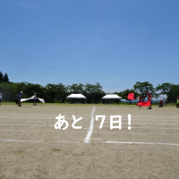 久しぶりの青空