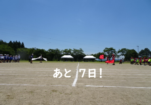 久しぶりの青空