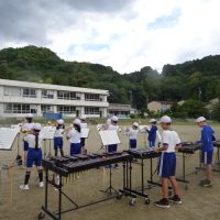 響いた♫