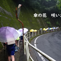 心の学習