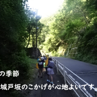 暑い！