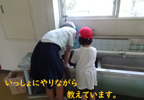 本当にピカピカ🌟