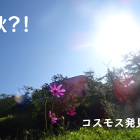 優しい城戸坂