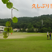 ミラクル！