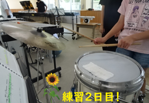 小学生❓❗