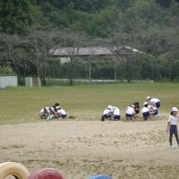 取り時です！