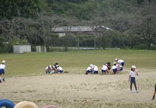 取り時です！