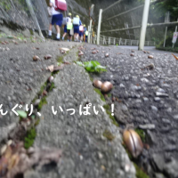 後期　スタート！