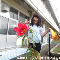 雨上がり🌂