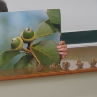 毎月のお楽しみ📚