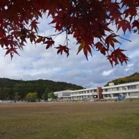 冷えてきました