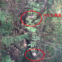 ぽかぽか🤗☺️😊