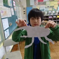 ☁️➡️🌧️➡️🌤️