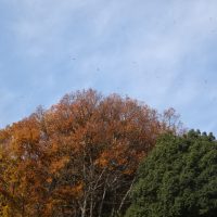 北風びゅーん🌀