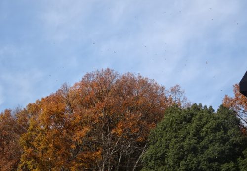 北風びゅーん🌀