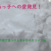 ☃️雪・雪・雪⛄