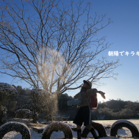 ❄️雪景色❄️