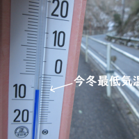 ネイチャーゲーム